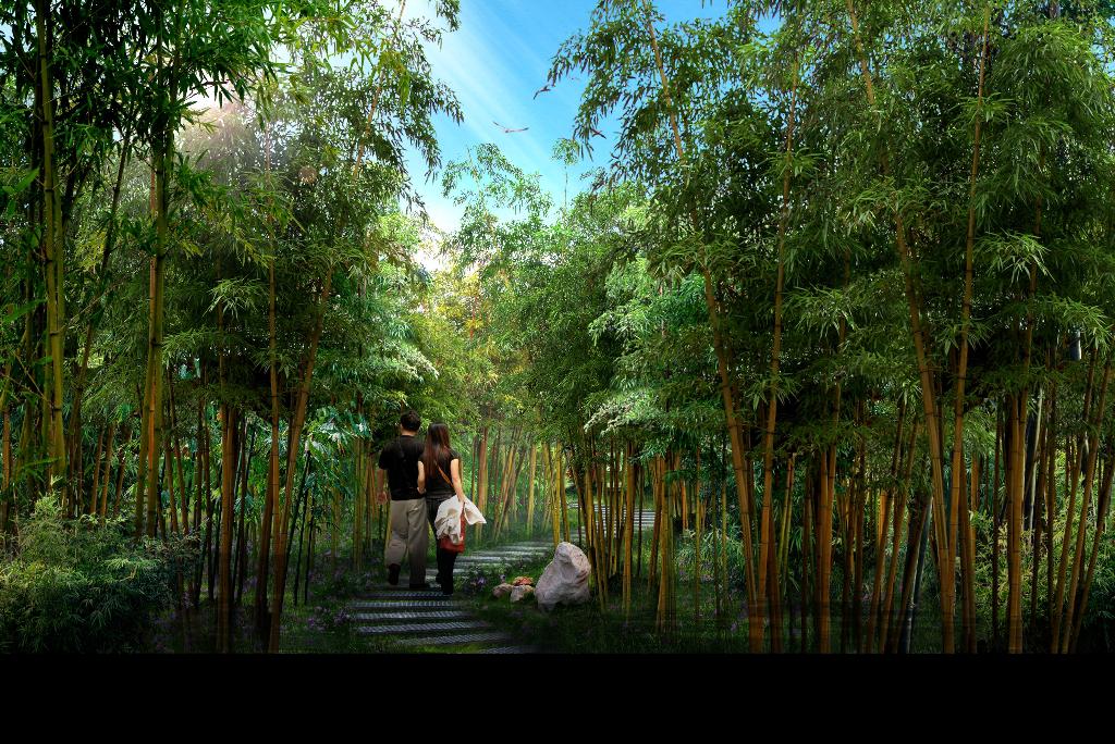 竹林91免费看片下载景观设计http://ydyl.ylzds.com/