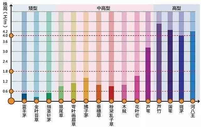 河南景观设计行业设计植物需要注重的问题有哪些？